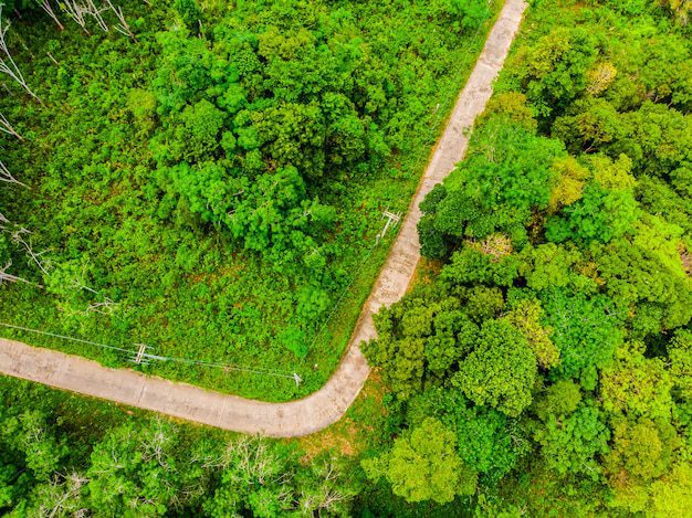 Proiectarea și construcția de drumuri forestiere: o abordare sustenabilă 8 Proiectarea și construcția de drumuri forestiere: O abordare sustenabilă