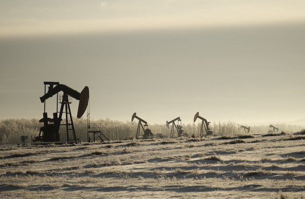 Case study: Proiect de restaurare a unui teren afectat de exploatarea de petrol