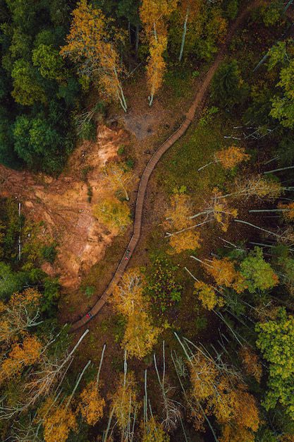 Impactul infrastructurii rutiere asupra mediului și soluții ecologice 2 Impactul infrastructurii rutiere asupra mediului și soluții ecologice