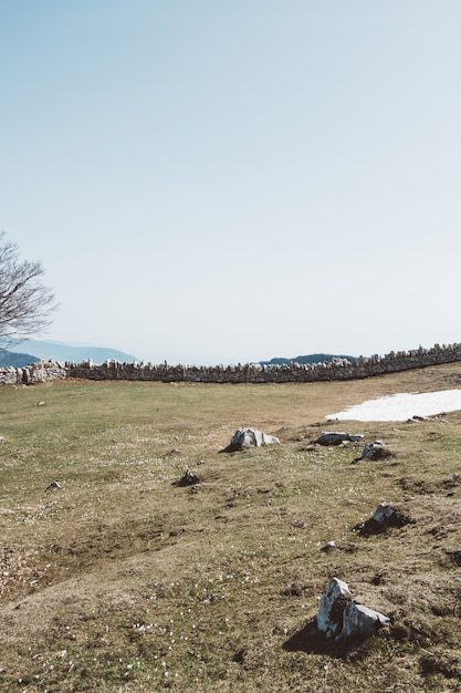 Soluții pentru industria extractivă 42 Reintegrarea terenurilor ecologizate în circuitul natural