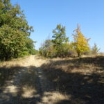 Sonda 4247 Slămnești 47