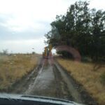 Sonda 4247 Slămnești 179