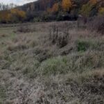 Sonda 65 de la Vârteju 7