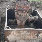 Sonda 80 Bustuchin 219