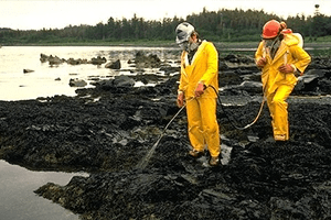 Tehnologii noi în ecologizarea post-extracție 5 Tehnologii noi în ecologizarea post-extracție 4