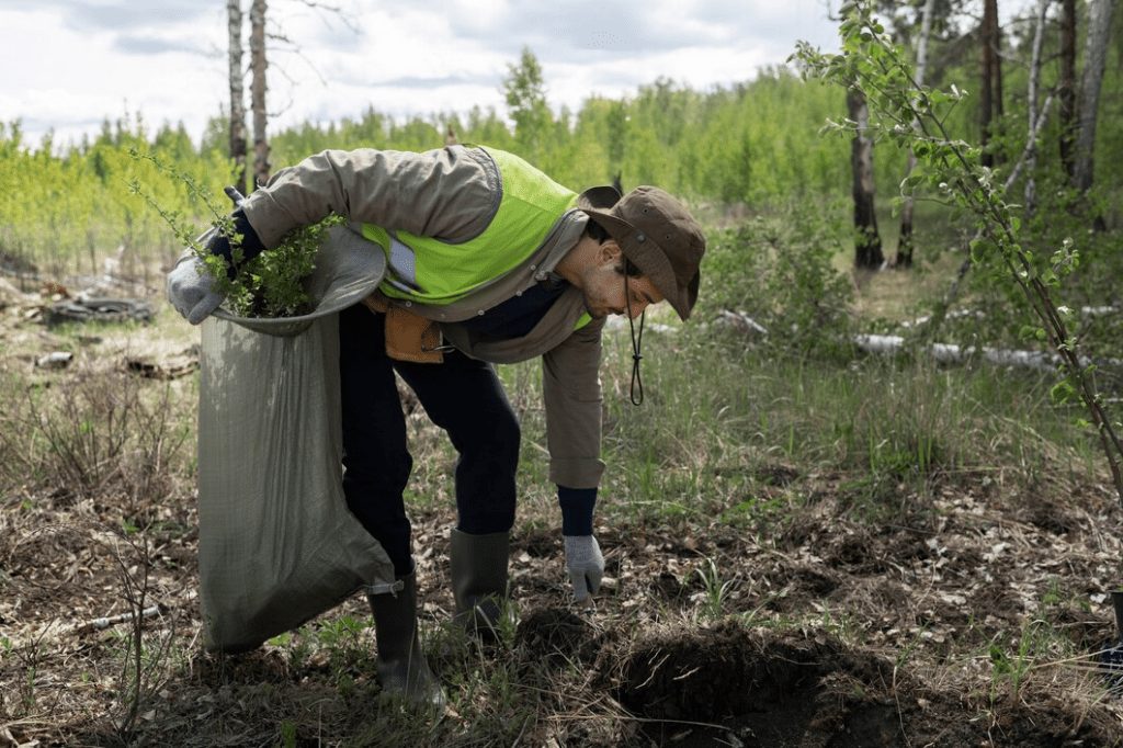 Metode eficiente de ecologizare a terenurilor infestate 2