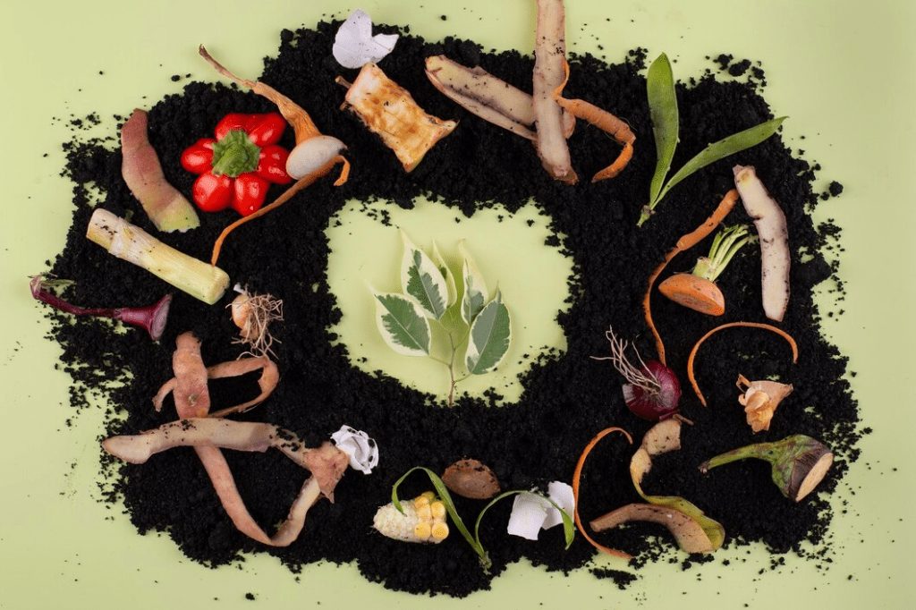 Soluții inovatoare pentru gestionarea deșeurilor în proiectele de ecologizare 5 Soluții inovatoare pentru gestionarea deșeurilor în proiectele de ecologizare 4