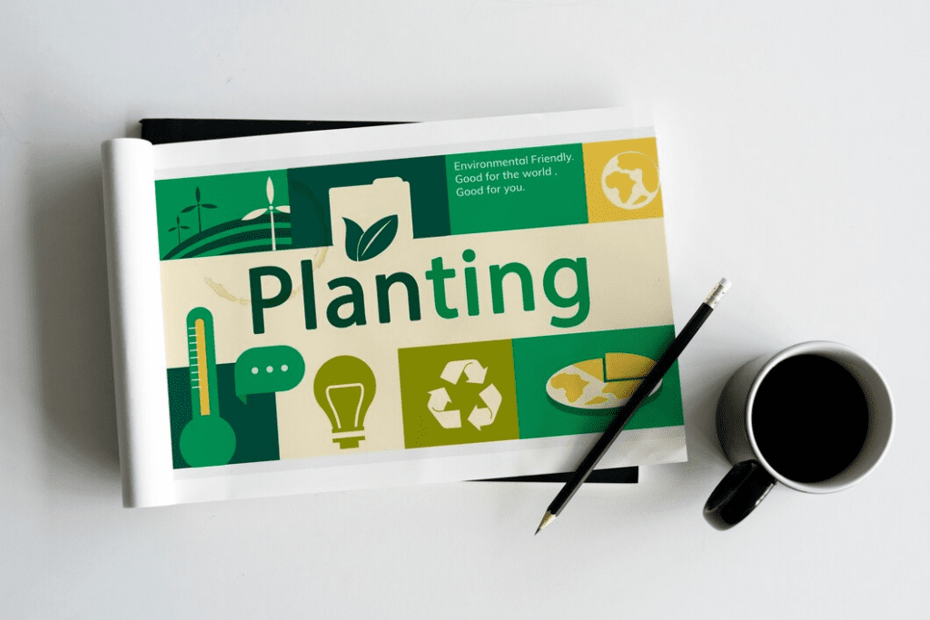 Planificarea și executarea proiectelor de ecologizare 2