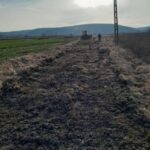 Sonda 4462 Slăvuța 187