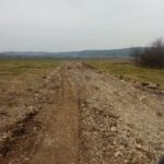 Sonda 4462 Slăvuța 37