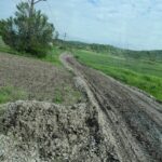 Sonda 4462 Slăvuța 383
