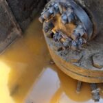 Sonda 4462 Slăvuța 249